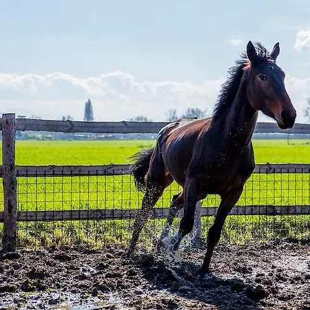 Valle Del Subasio Alloggio per agriturismo