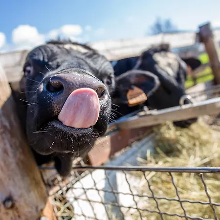 Valle Del Subasio Alloggio per agriturismo
