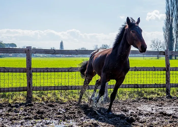 Valle Del Subasio 农家乐