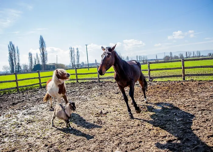 Valle Del Subasio 阿西西