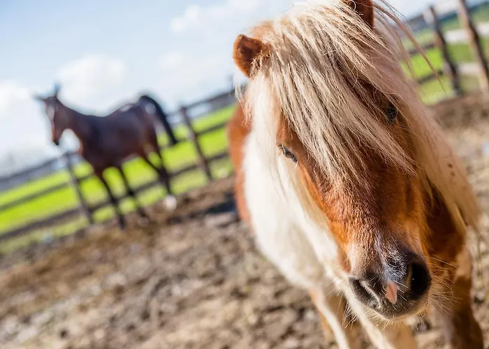 Valle Del Subasio 农家乐 *