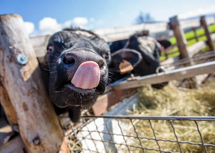 Valle Del Subasio 农家乐